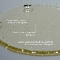 Detergente Corpo